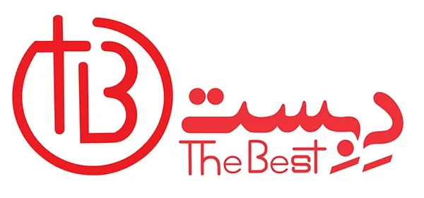 لوگوی فروشگاه برترینها | دبست